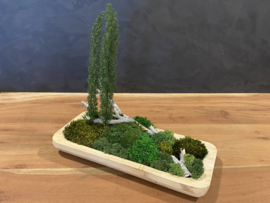 Naturel houten schaal (boompjes)