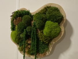 Organische schaal / mosschilderij (2)