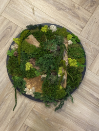 Mosschilderij / rond (7)