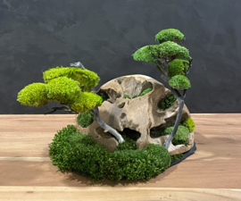 Decoratieve houten halve bol (1)