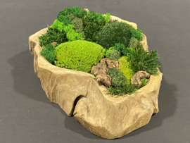 Robuust houten mosschaal