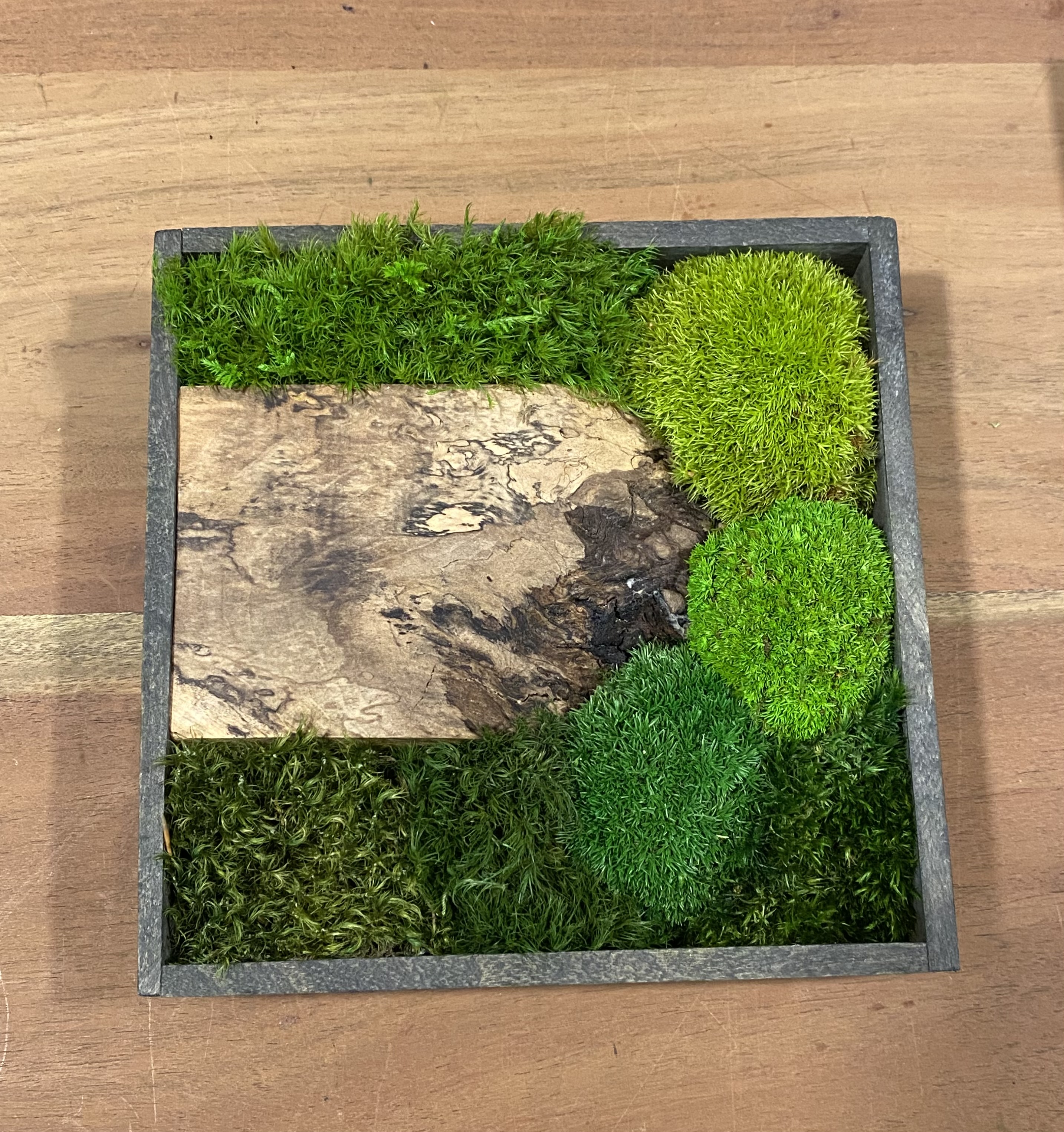 Vierkant mos schilderij (1A)