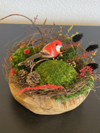 Kleine mosschaal