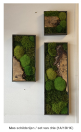 Mosschilderij rechthoek (9)