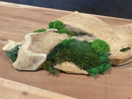 Boomstam tafel decoratie (1)