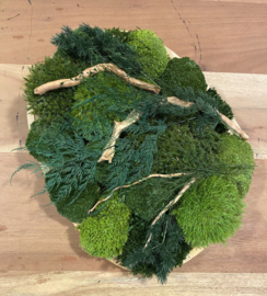 DIY Mosschilderij (organisch)