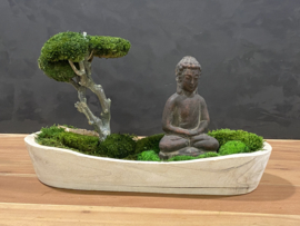 Boedha in a Mossforest