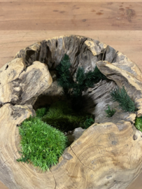 Decoratieve teak houten bol (1)