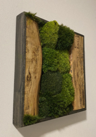 Mosschilderij - Symmetrie