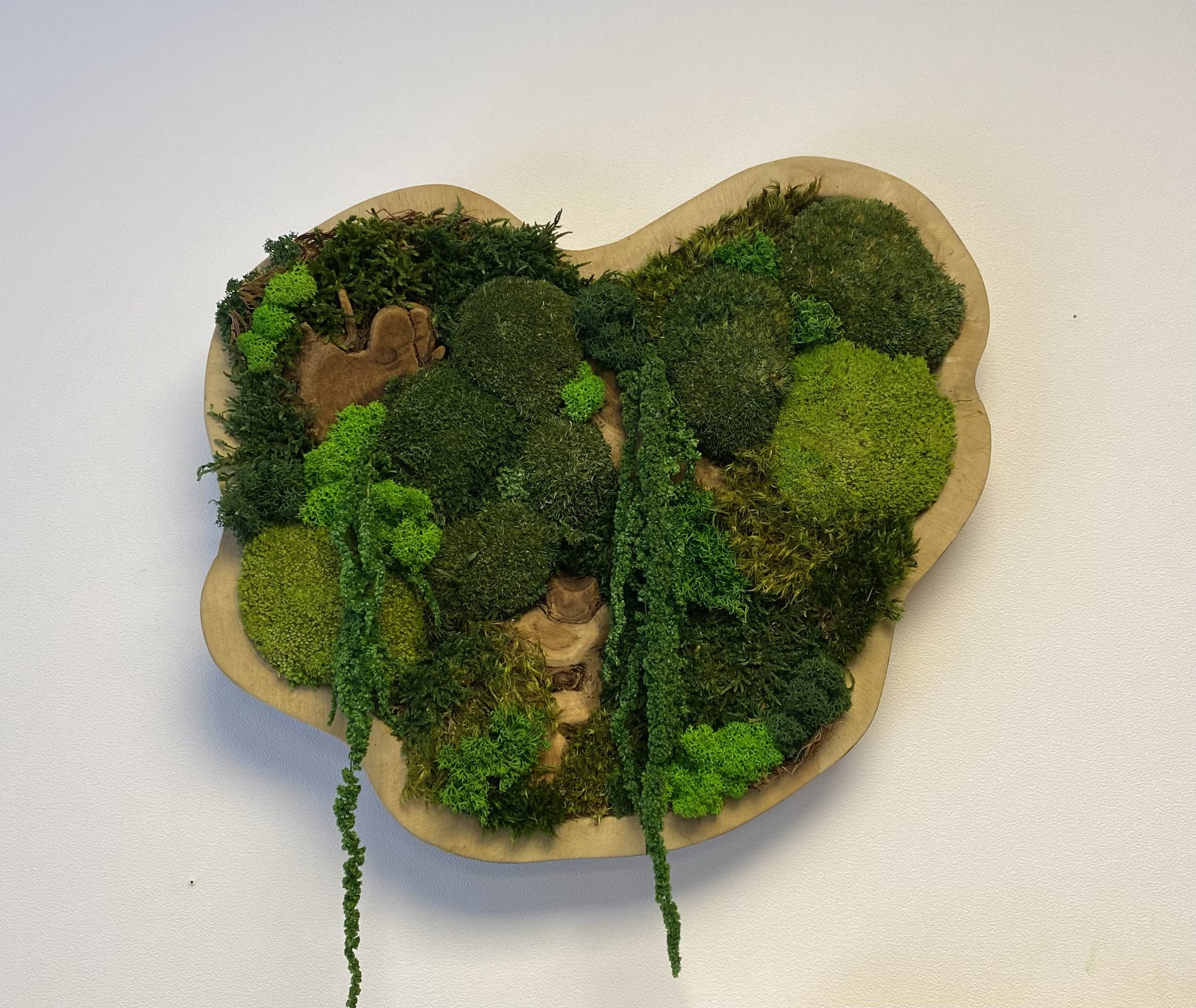 Organische schaal / mosschilderij (3)