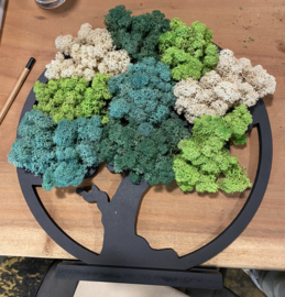 DIY pakket De Levensboom (1)