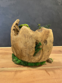 Decoratieve (halve) houten bol (2)