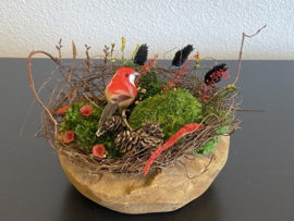 Kleine mosschaal
