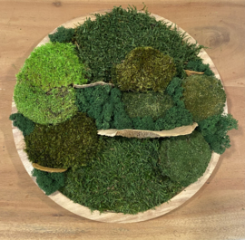 Mosschilderij / rond (39)