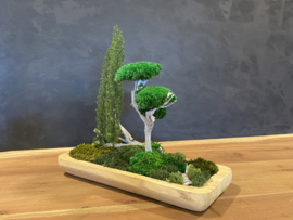 Naturel houten schaal (boompjes)