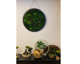 Mos schilderij rond (3)