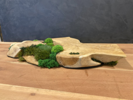 Boomstam tafel decoratie (1)