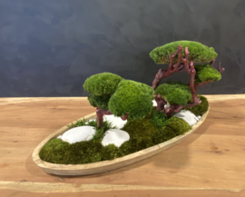 Ovaal houten schaal (boompjes)