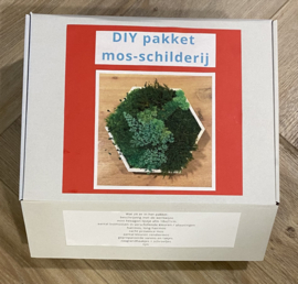 DIY Mosschilderij - mini hexagon