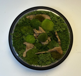 Mosschilderij ‘oude klok’ (2)