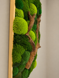Mosschilderij - Natuurlijk reliëf