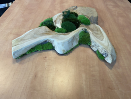Boomstam tafel decoratie (2)