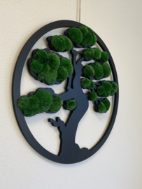 De Levensboom (bolmossen)