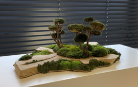 Robuust houten plateau met mosboompjes