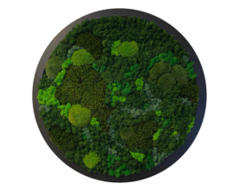 Mosschilderij / rond (70)