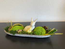 Kleine mosschaal