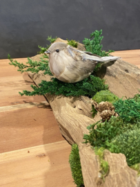 Boomstam tafel decoratie