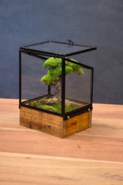 Mini windlicht met mosboompje (2)