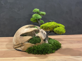 Decoratieve houten halve bol (1)