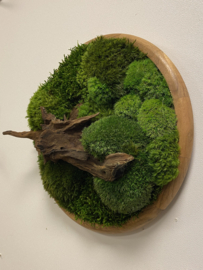 Mosschilderij rond (4)