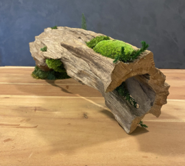 Boomstam tafel decoratie (2)