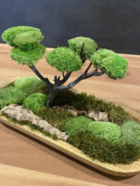Naturel houten schaaltje met mosboompje (3)