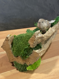 Boomstam tafel decoratie