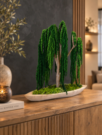 Mosboom - Amaranth Mosboom - Xl