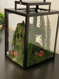Windlicht met mini jungle