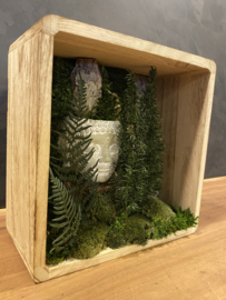 Moscreatie - Mos Forest Zen
