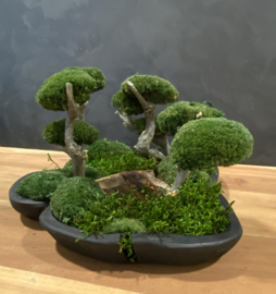 Organische schaal Mosboompjes (zwart)