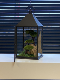 Windlicht met houten rots en bolmos boompjes