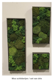 Mosschilderij rechthoek (9)