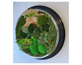 Mosschilderij ‘oude klok’