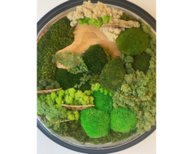 Mosschilderij ‘oude klok’
