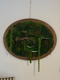 Mosschilderij - Verborgen Woud