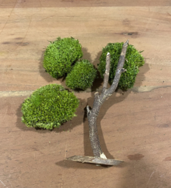 DIY Mosschaal met boompjes (2)