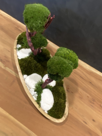 Ovaal houten schaal (boompjes)