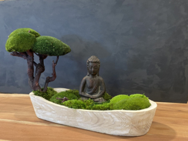Boedha in a Mossforest