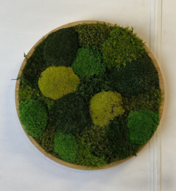 Mosschilderij / rond (39)